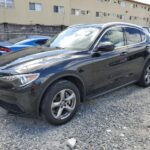 Alfa Romeo Stelvio, Sport